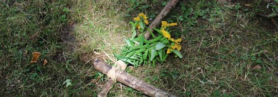 Workshop Naturwissenschaften